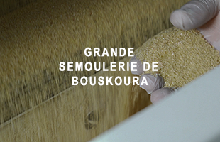 <strong>GRANDE SEMOULERIE DE BOUSKOURA</strong>