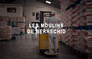 <strong>LES MOULINS DE BERRECHID</strong>